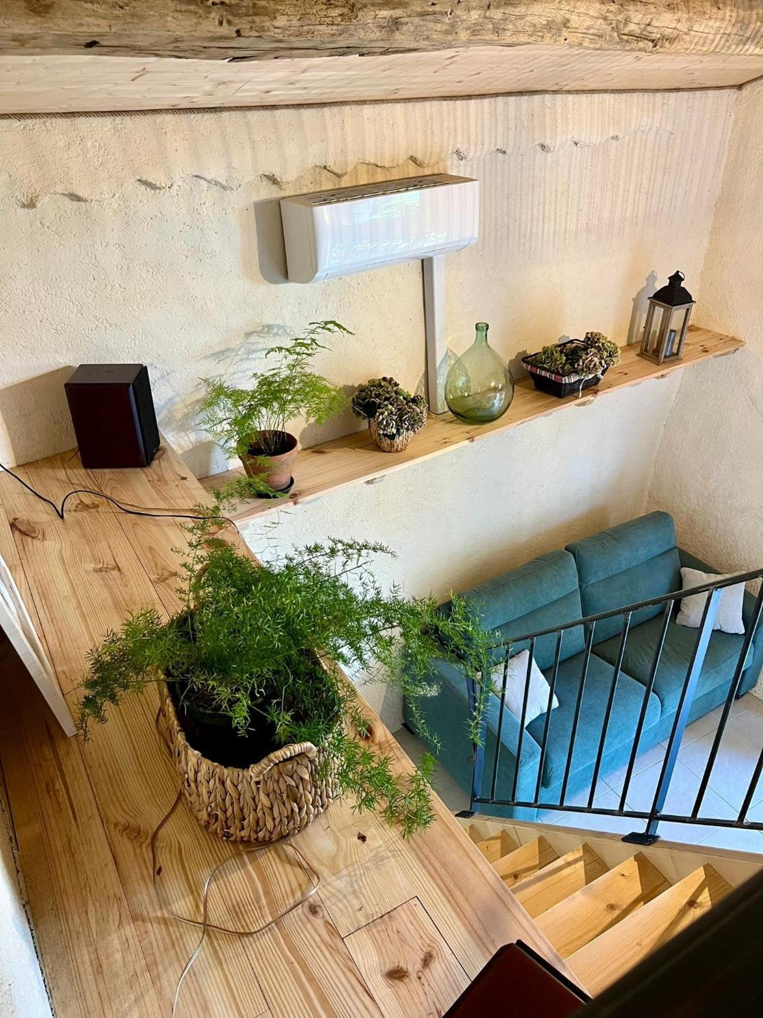 La Chambre Du Cantou Lautrec ภายนอก รูปภาพ